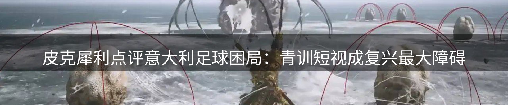 网站资讯